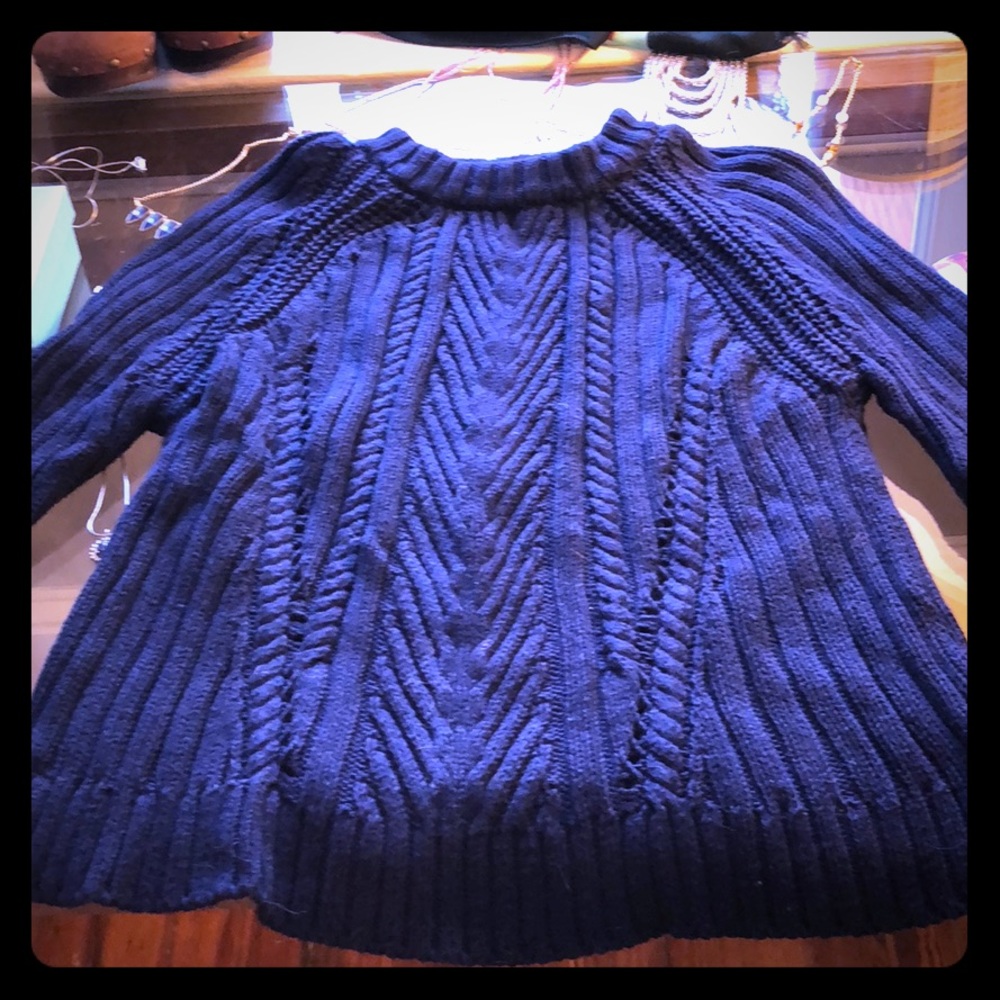 Zara Knit Navy Sweater